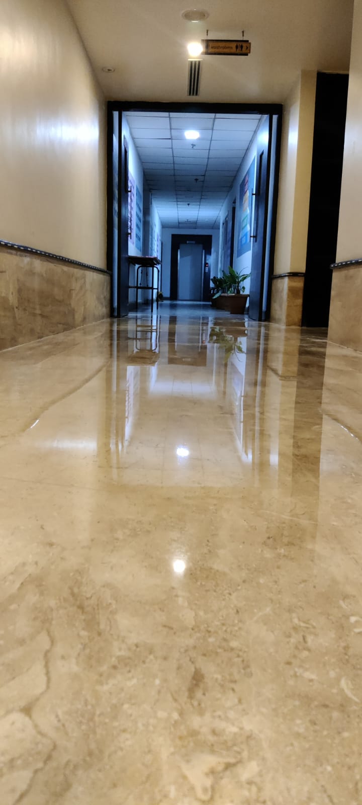 Corridor in warm honey-toned stone polished to a high gloss, plants at the far end